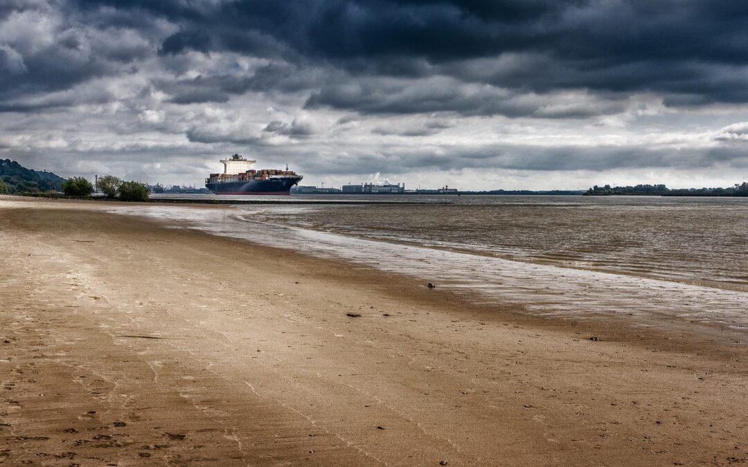 Elbvertiefung: Umweltverbände nicht überzeugt von nachgebesserten Planunterlagen