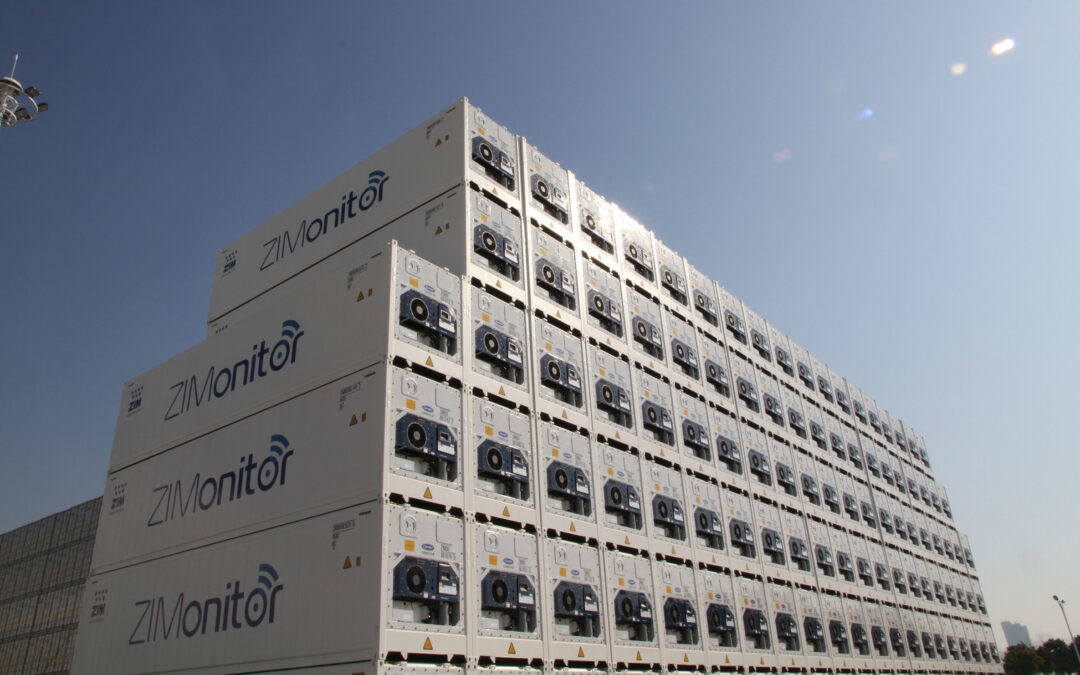 Reederei ZIM vergrößert ihre Kühlcontainerflotte