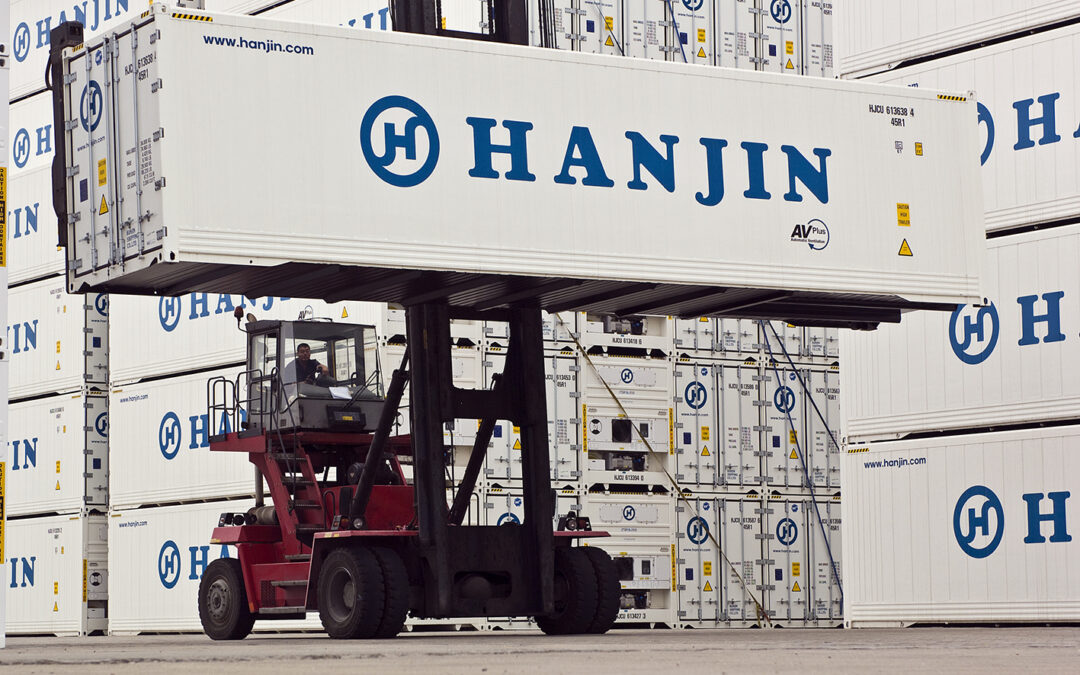 Neue Kühlcontainer-Software StarConomy optimiert Energieverbrauch