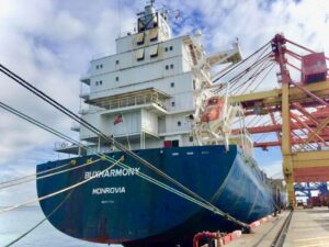 Das Containerschiff Buxharmony wurde im Internet versteigert. VesselBid ist eine neue Online-Plattform für die Versteigung von Schiffen.