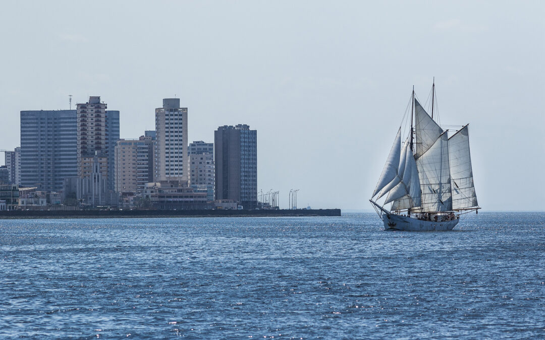 Nachhaltiger Handel auf See: Die Rückkehr der Frachtsegler
