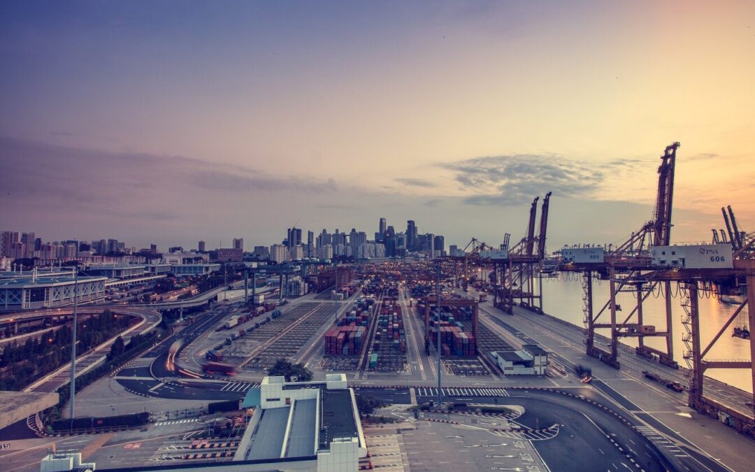 OECD: Hohe Containerfrachtraten tragen zu Inflation bei