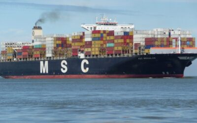 Orderbuch für Containerschiffe wächst auf 14-Jahres-Hoch
