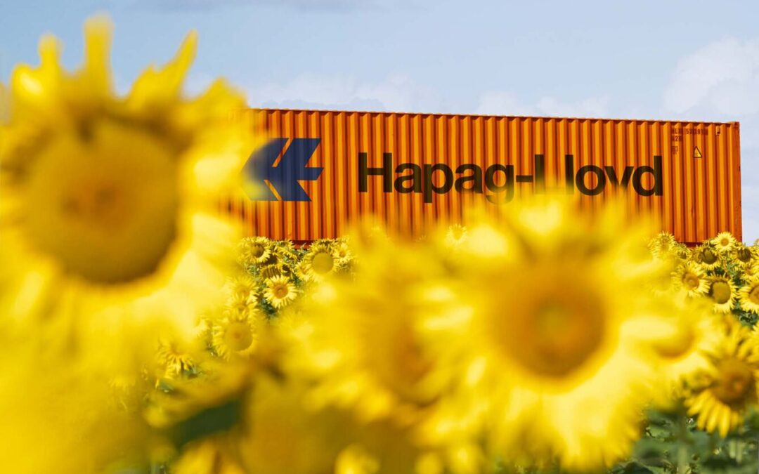 Forto und Hapag-Lloyd kooperieren bei Biokraftstoff-Alternativen