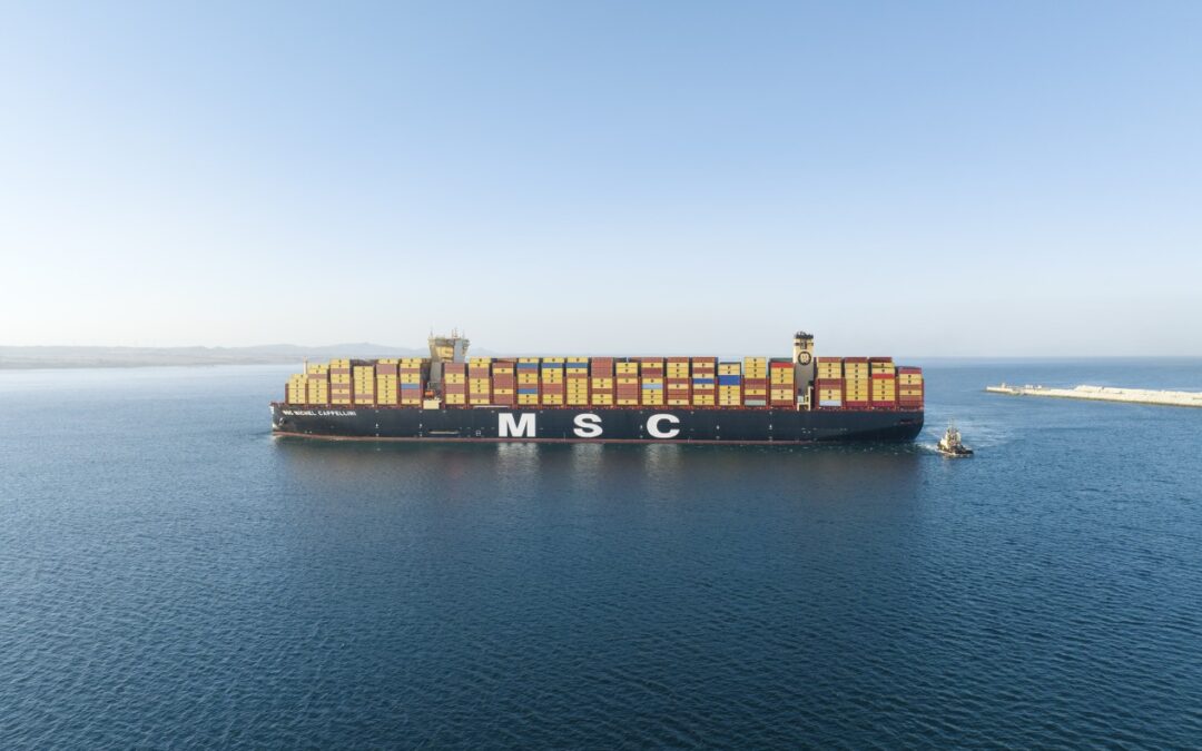 MSC plant Einstieg bei der HHLA