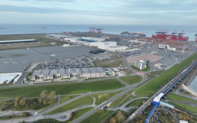 ZDS: Seehafenbetriebe wünschen sich Rückenwind von der Politik
