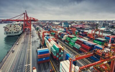 DP World und die „Gemini Cooperation“ arbeiten zusammen