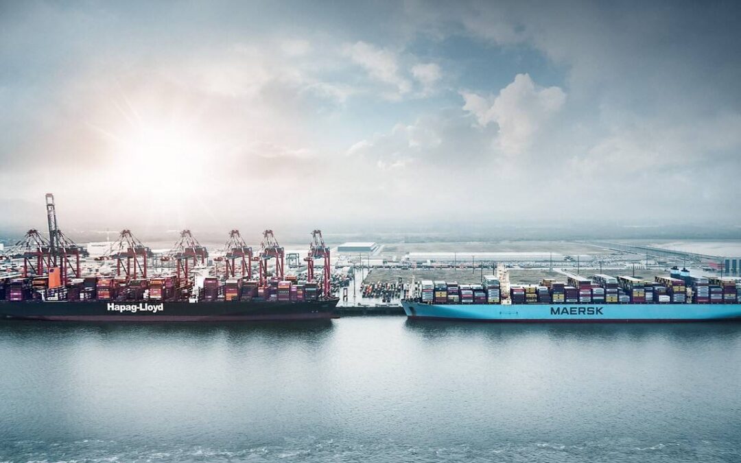 Containerreedereien wieder pünktlicher – Maersk und Hapag-Lloyd am zuverlässigsten