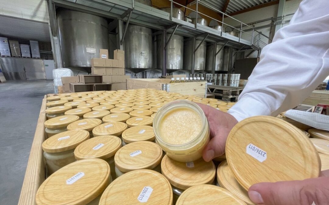 „Der JadeWeserPort liegt vor der Tür“